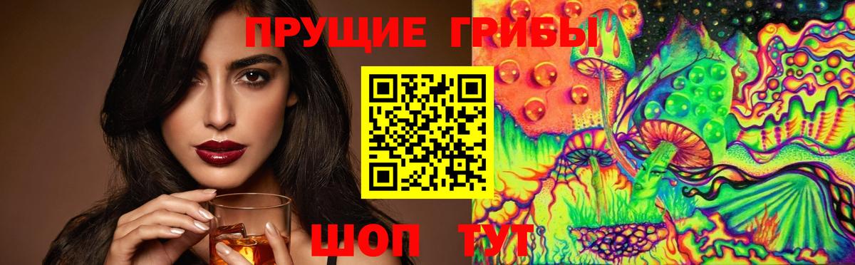 Галлюциногенные грибы Psilocybe Пыть-Ях